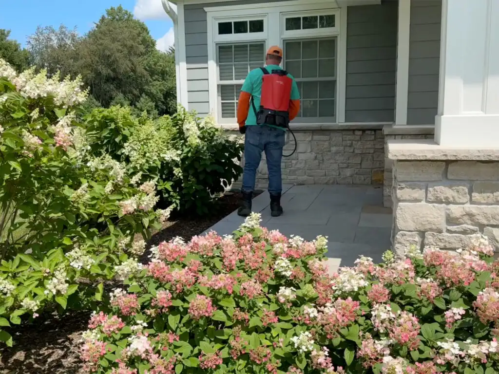 Bug Off Taylor's Way technician treating a home in the Illinois Valley